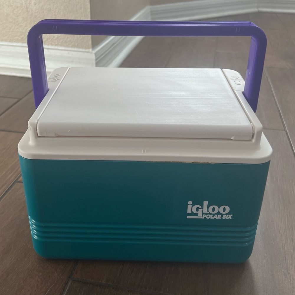 90s Vintage Igloo Teal and Purple Polar Six Cooler with Handle